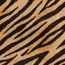 Animal print ύφασμα πολυθρόνας