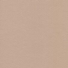 σκληρή δερματίνη