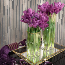 Κομψή δαντέλα για παράθυρα σαλονιού